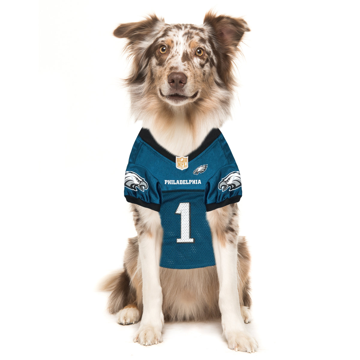 Nfl Philadelphia Eagles Dog Hoodie Dog Jersey Eagles Gear Amazon