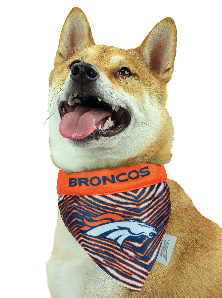 Broncos Dog Sweater 