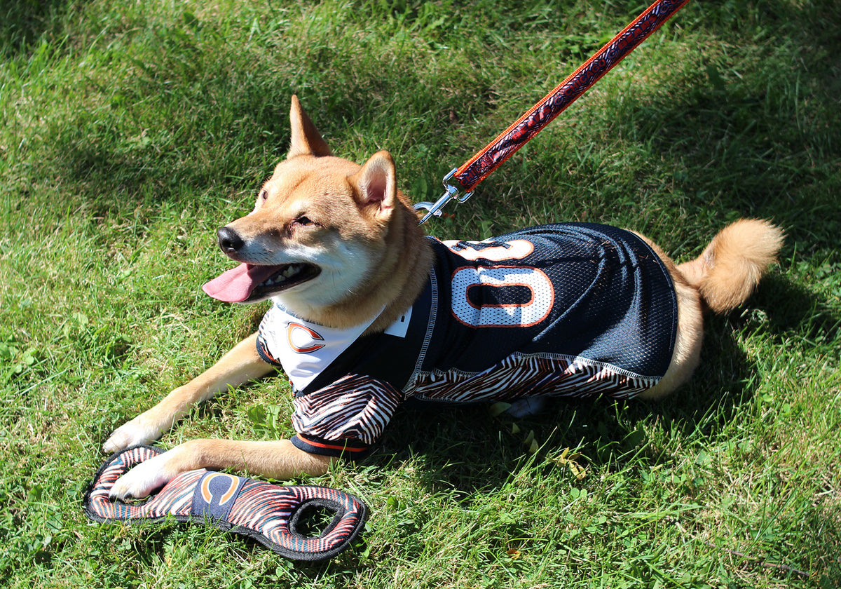 Zubaz NFL Team Pet Jersey for Dogs, Las Vegas Raiders, Large, Print