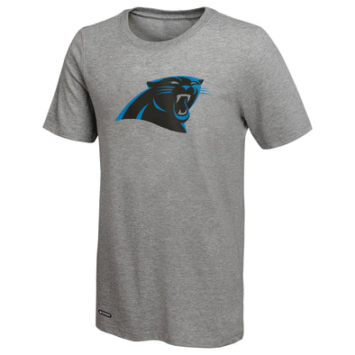 Outerstuff NFL Men's Carolina Panthers Primary Stadium Logo Tee, Grey