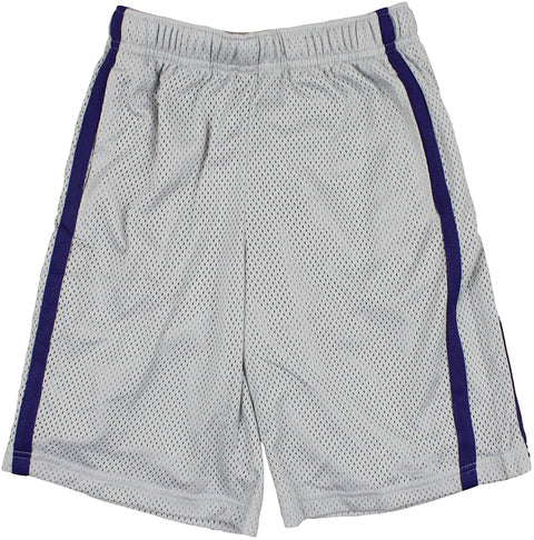 Nike NCAA Big Boys Youth Kansas State Wildcats Team DriFIT Shorts, Grey