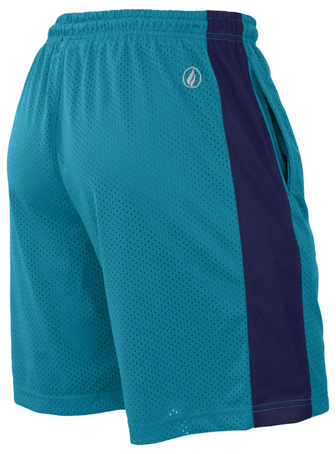 FISLL NBA Adult Men's Charlotte Hornets Shorts, Team Color