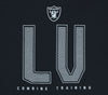 Outerstuff NFL Men's Las Vegas Raiders Record Setter Long Sleeve Tee