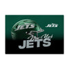 Northwest NFL New York Jets Headspace Washable Area Floor Rug, 20" x 32"