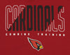 New Era NFL Men's Arizona Cardinals Pullover Performance Fleece Hoodie