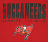 New Era NFL Men's Tampa Bay Buccaneers Limitless Short Sleeve T-Shirt