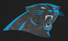 Zubaz NFL Men's Carolina Panthers Elevated Logo Viper Hoodie