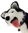 Sporty K9 MLB Philadelphia Phillies Reflective Dog Collar