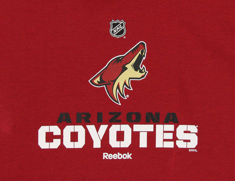 Reebok NHL Kids (4-7) Arizona Coyotes FLC Clean Cut Team Fleece Hoodie