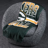 FOCO NFL Green Bay Packers Stripe Micro Raschel Plush Throw Blanket, 45 x 60