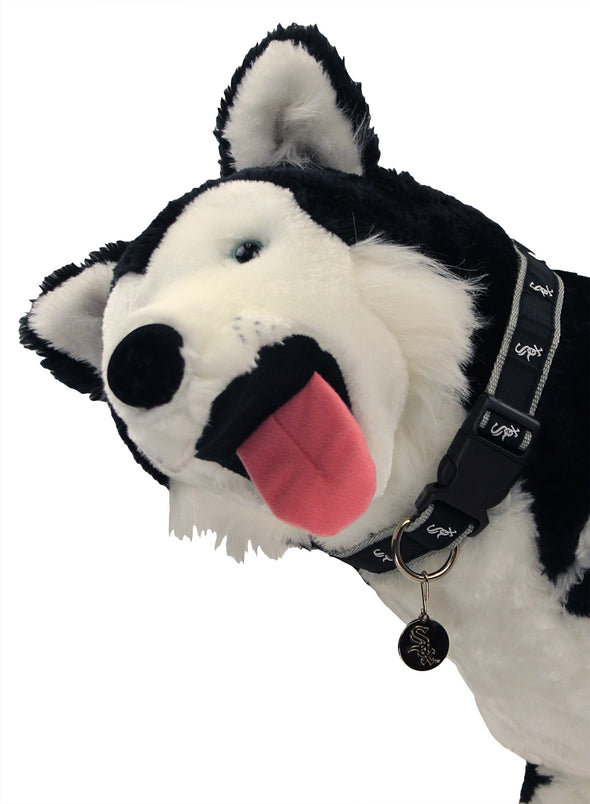 Sporty K-9 MLB Chicago White Sox Sublimation Dog Collar, Black & White