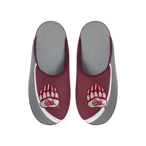 FOCO NCAA Men's Montana Grizzlies 2022 Big Logo Color Edge Slippers