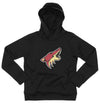 OuterStuff NHL Youth Arizona Coyotes Team Performance Hoodie Combo Set