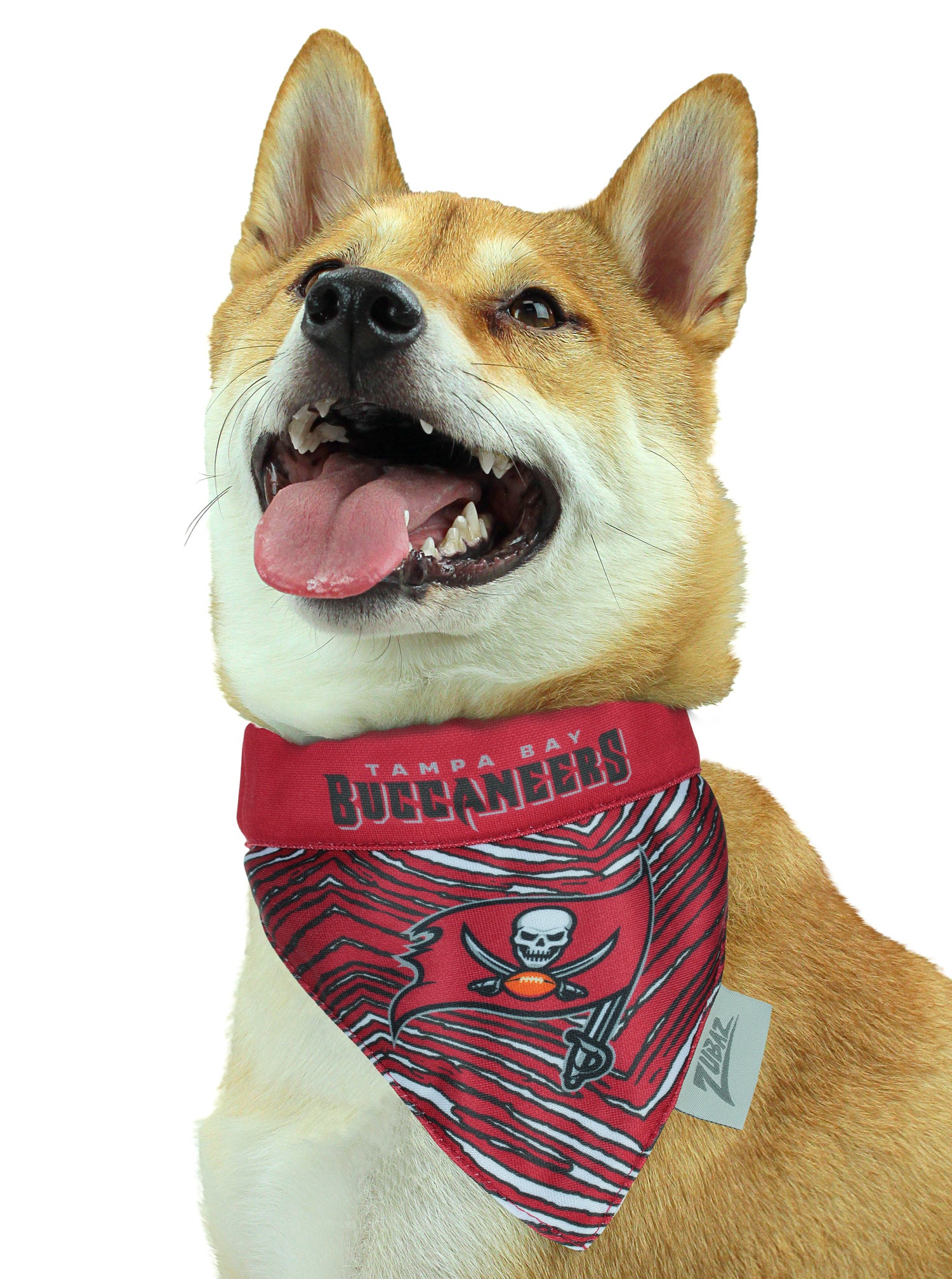 Tampa Bay Buccaneers Dog Collar or Leash