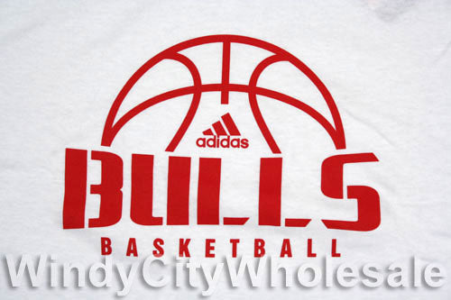 Adidas NBA Basketball Men's Chicago Bulls Long Sleeve Shirt, White