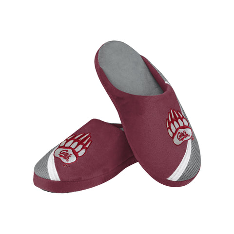 FOCO NCAA Men's Montana Grizzlies 2022 Big Logo Color Edge Slippers