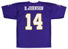 NFL Men's Minnesota Vikings Brad Johnson #14 Jersey, Purple