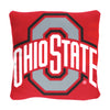 Northwest NCAA Ohio State Buckeyes Pillow & Silk Touch Throw Blanket Set