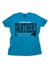 Carolina Panthers NFL Football Men's Fundamentals Logo T-Shirt Tee, Turquoise