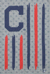 Forever Collectibles MLB Men's Cleveland Indians Big Logo Flag Tee