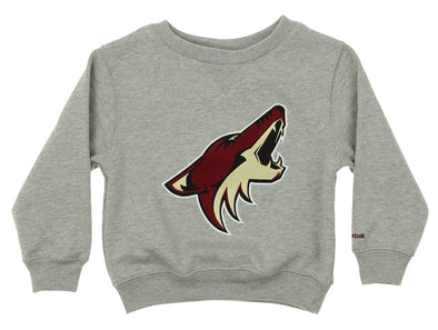 Reebok NHL Kids Arizona Coyotes Prime Fleece Pullover Sweatshirt, Gray