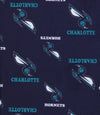 Outerstuff NBA Youth Boys Charlotte Hornets Team Logo Lounge Pants