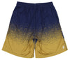 FOCO NFL Men's St. Louis Rams Gradient Polyester Shorts