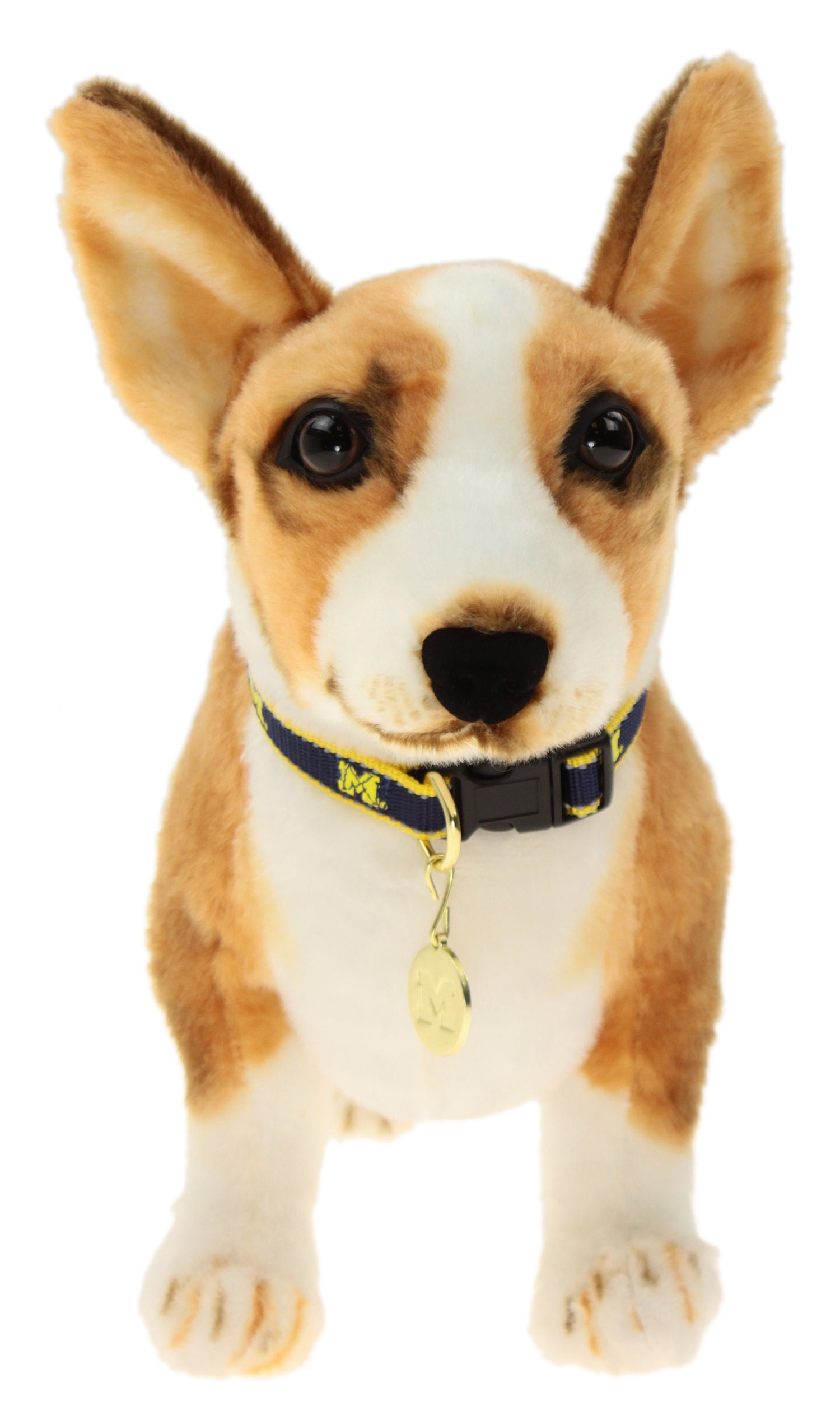  Tennessee Volunteers Ribbon Dog Collar - Large : Pet