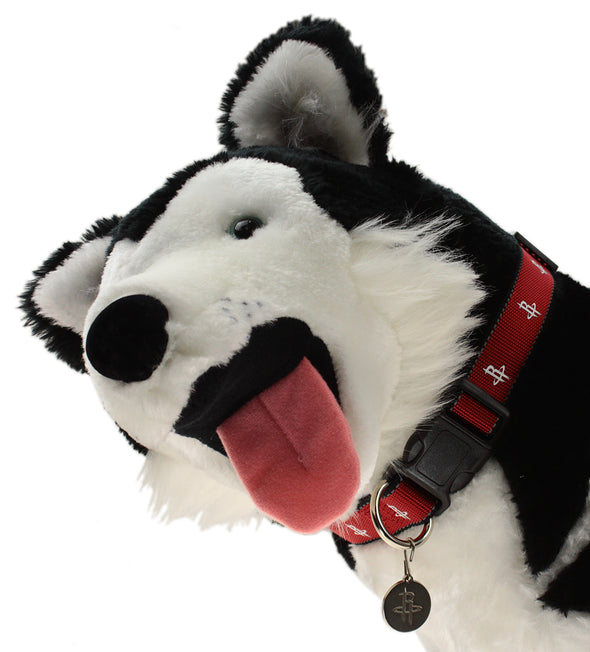 Sporty K9 NBA Houston Rockets Reflective Dog Collar