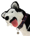 Sporty K9 MLB Minnesota Twins Reflective Dog Collar
