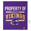 FOCO NFL Baltimore Ravens Exclusive Heated Throw Blanket, 50"x60"