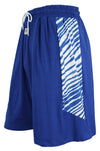 Zubaz NFL Men's Indianapolis Colts Team Logo Zebra Side Seam Shorts, Blue