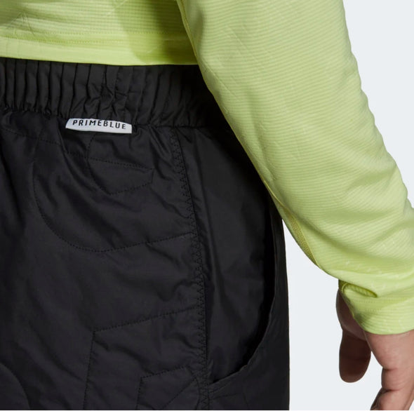 adidas Unisex Terrex Primaloft Padded Pants, Color Options