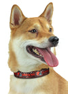 Zubaz X Pets First NFL Cleveland Browns Team Adjustable Dog Collar