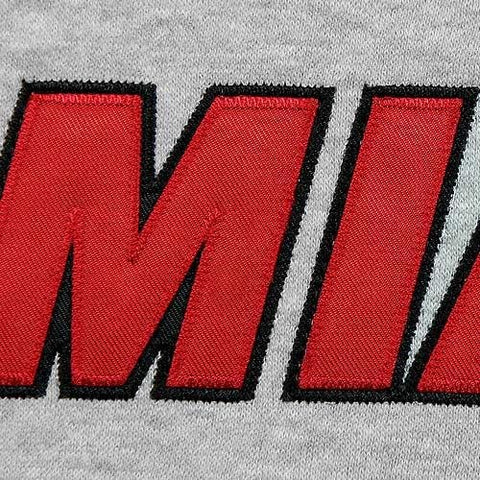 Zipway NBA Basketball Men's Miami Heat Pullover Fleece Sweatshirt, Gray