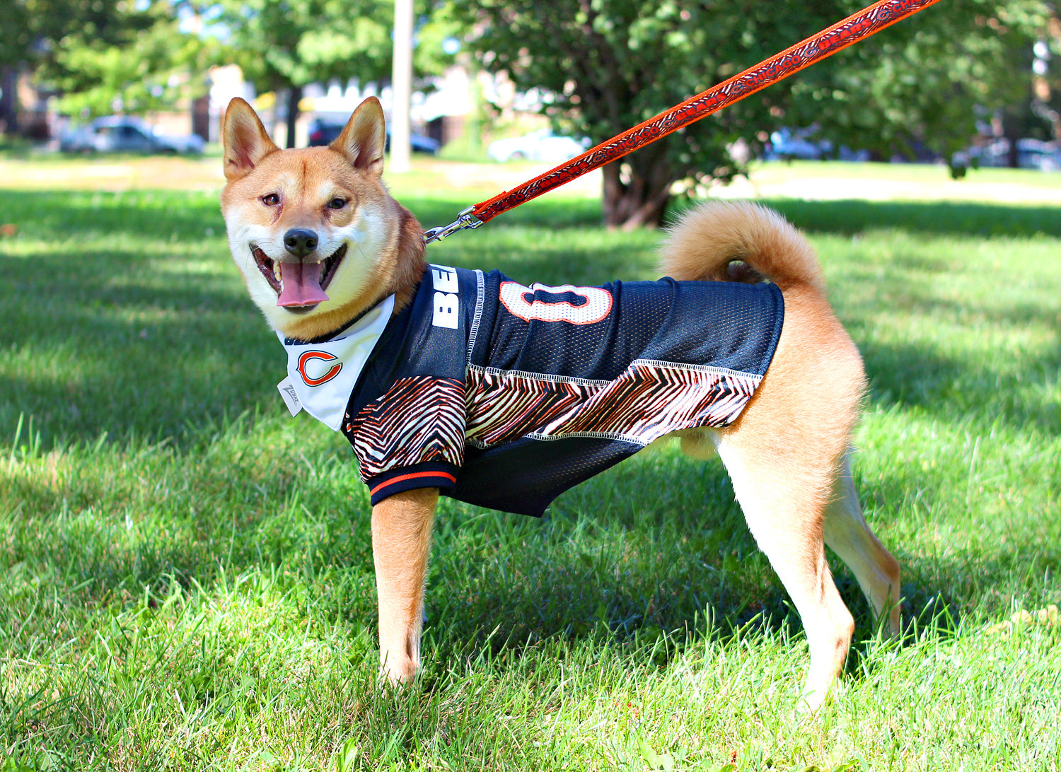 Zubaz NFL Team Pet Jersey for Dogs, Chicago Bears, Medium