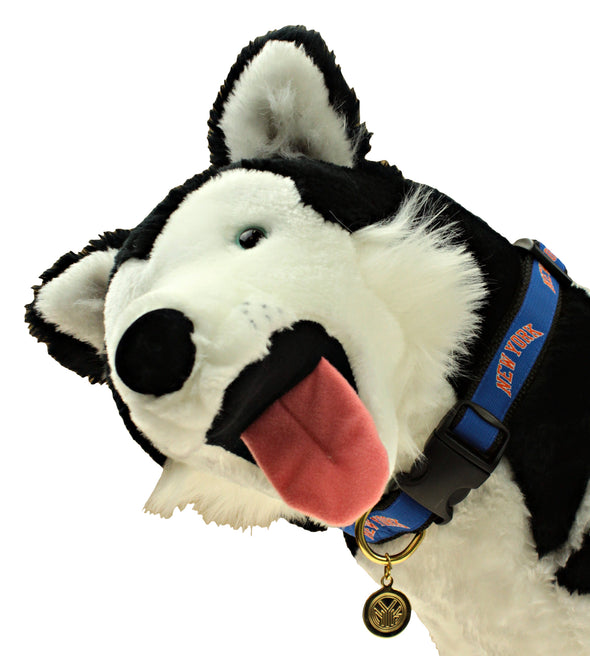 Sporty K9 NBA New York Knicks Ribbon Dog Collar