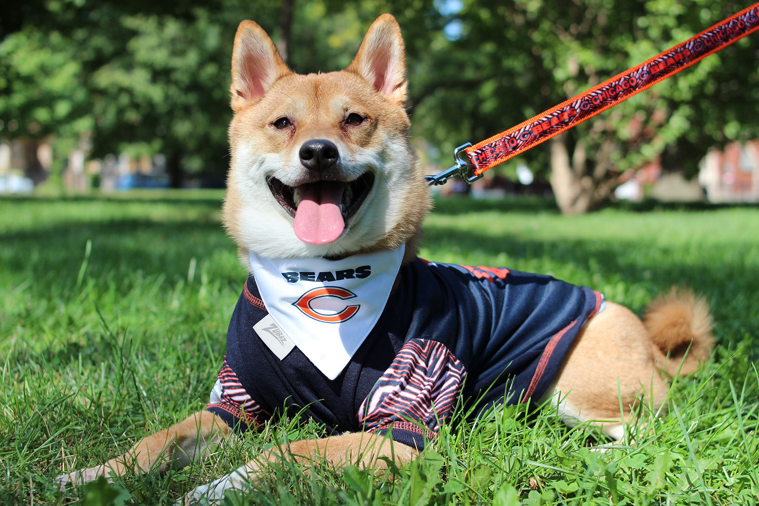 Zubaz x Pets First NFL Atlanta Falcons Reversible Bandana for Dogs & Cats