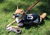 Zubaz X Pets First NFL Dallas Cowboys Team Logo Dog Tug Toy with Squeaker