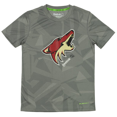 Reebok NHL Youth Arizona Coyotes Playdry Short Sleeve Frost Logo Tee, Grey