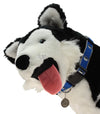 Sporty K9 NBA Dallas Mavericks Reflective Dog Collar, M/L
