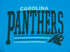 Carolina Panthers NFL Football Men's Fundamentals Logo T-Shirt Tee, Turquoise