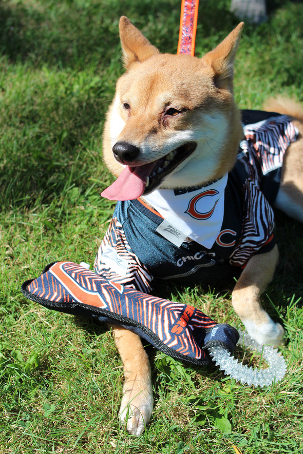 Zubaz X Pets First NFL Miami Dolphins Team Ring Tug Toy for Dogs