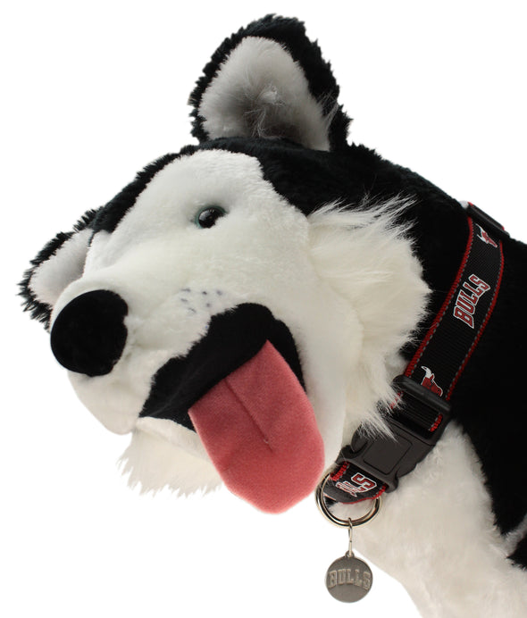 Sporty K9 NBA Chicago Bulls Reflective Dog Collar