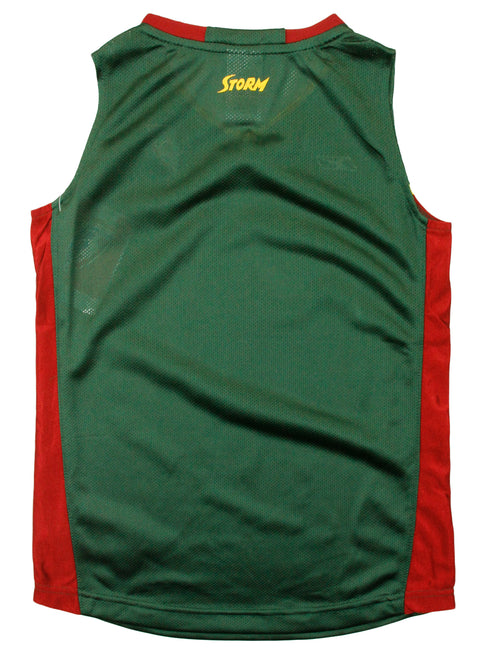 Reebok WNBA Youth Girls Seattle Storm Home Jersey, Green