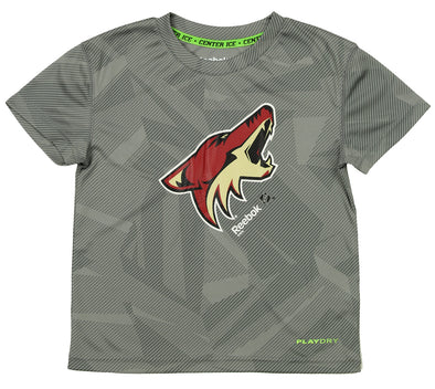 Reebok NHL Kids Arizona Coyotes Playdry Short Sleeve Frost Logo Fashion Tee, Grey