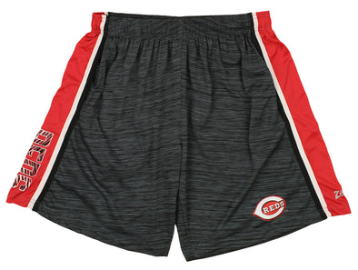 Zubaz MLB Baseball Men's Cincinnati Reds Space Dye Solid Stripe Shorts