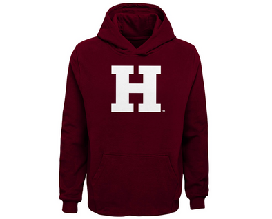 Outerstuff NCAA Kids (4-7) Harvard Crimson Sueded Fan Hoodie