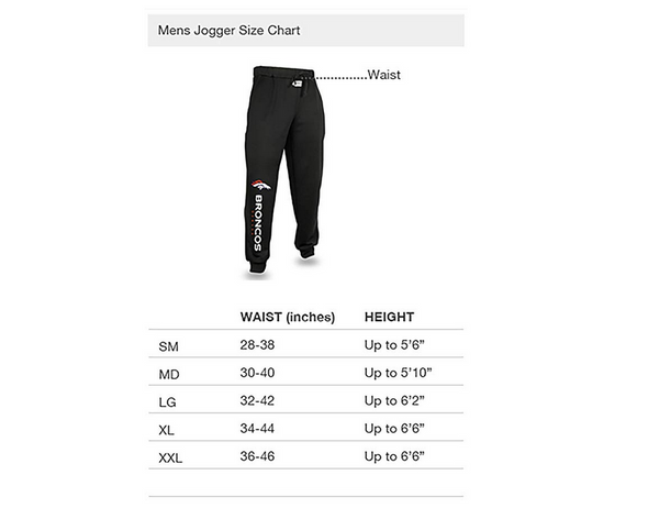 Zubaz NFL Men's Pittsburgh Steelers Solid Gray Team Logo Jogger Pants