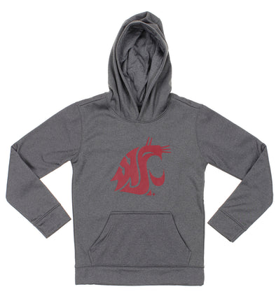 NCAA Boys' Youth (8-18) Washington State Cougers Fleece Pullover Grey Hoodie